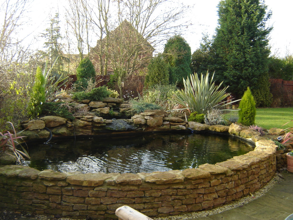 Formal or Raised - Pond Package ⋆ Small Fish Ponds ...