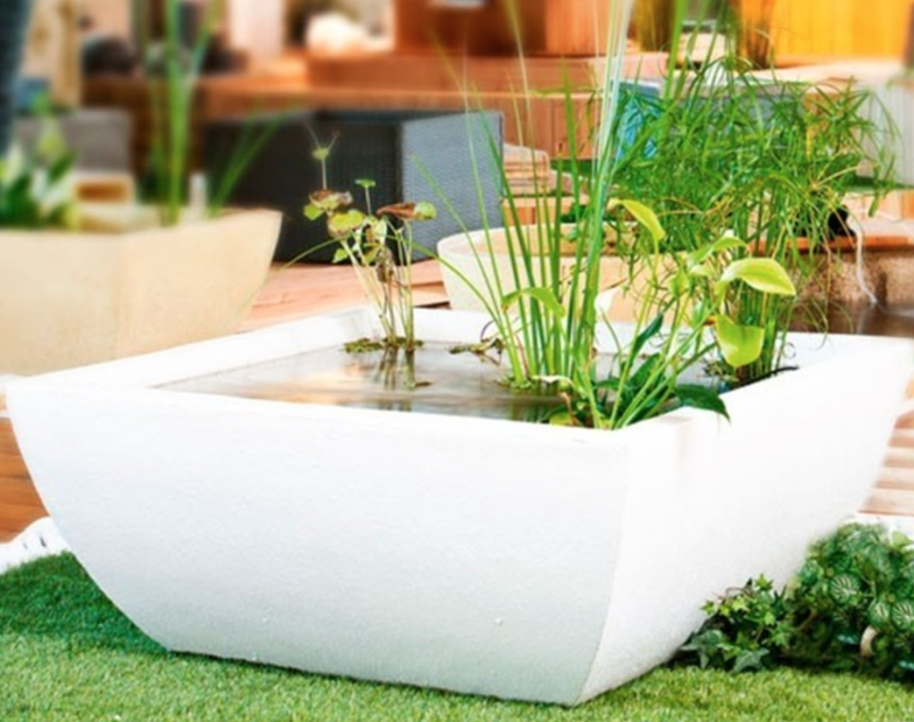 square-white-container-water-garden